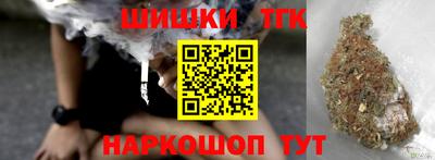 твердый Кингисепп