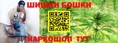 твердый Кингисепп
