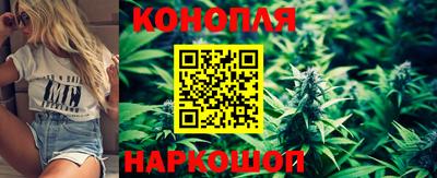 гидропоника Кинель