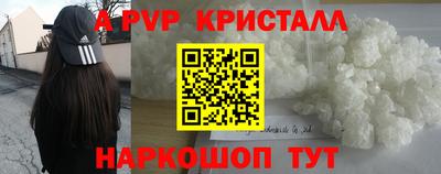твердый Кингисепп
