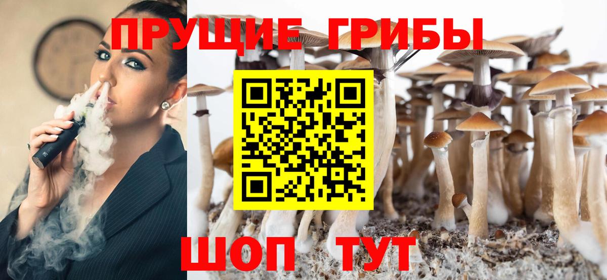 Курчалой  Галлюциногенные грибы мицелий  Галлюциногенные грибы Magic Shrooms  Вход с VPN 